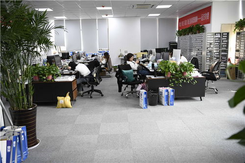 蘇州工業(yè)園區(qū)企業(yè)合規(guī)納稅與高效代理服務(wù)指引